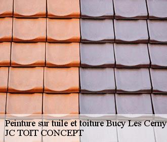 Peinture sur tuile et toiture  bucy-les-cerny-02870 JC TOIT CONCEPT