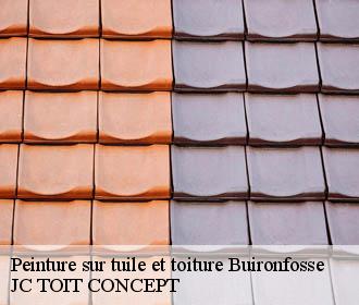 Peinture sur tuile et toiture  buironfosse-02620 JC TOIT CONCEPT