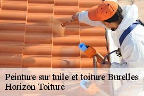 Peinture sur tuile et toiture burelles-02140 Horizon Toiture