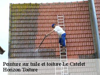 Peinture sur tuile et toiture 02420