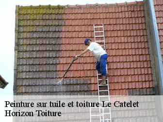 Peinture sur tuile et toiture  02420