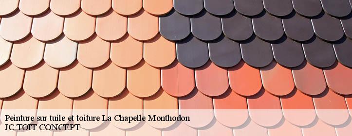 Peinture sur tuile et toiture  02330