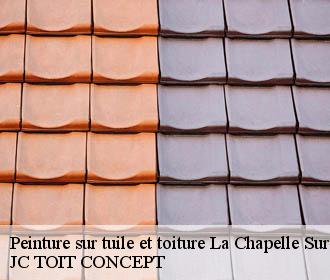 Peinture sur tuile et toiture  la-chapelle-sur-chezy-02570 JC TOIT CONCEPT