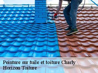 Peinture sur tuile et toiture