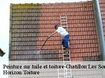 Peinture sur tuile et toiture 02270