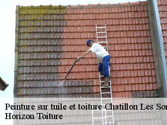 Peinture sur tuile et toiture  02270