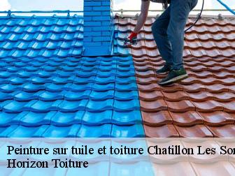 Peinture sur tuile et toiture
