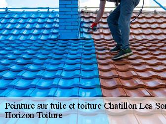 Peinture sur tuile et toiture