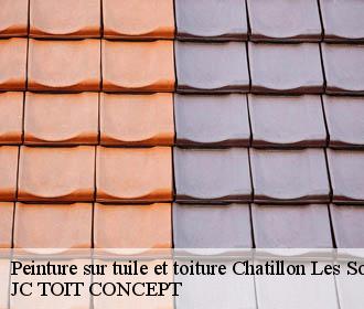 Peinture sur tuile et toiture  chatillon-les-sons-02270 JC TOIT CONCEPT