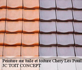Peinture sur tuile et toiture  chery-les-pouilly-02000 JC TOIT CONCEPT