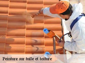 Peinture sur tuile et toiture 02210