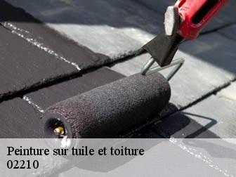 Peinture sur tuile et toiture 02210