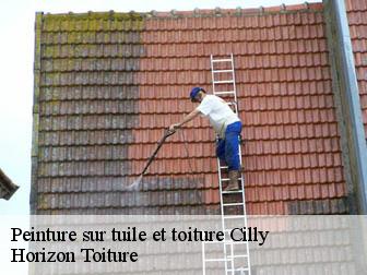 Peinture sur tuile et toiture 02250