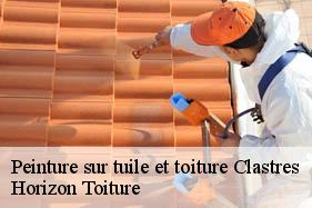 Peinture sur tuile et toiture clastres-02440 Horizon Toiture