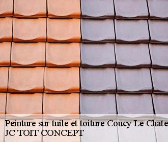 Peinture sur tuile et toiture  coucy-le-chateau-auffrique-02380 JC TOIT CONCEPT