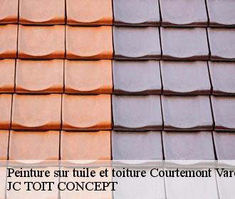 Peinture sur tuile et toiture  courtemont-varennes-02850 JC TOIT CONCEPT