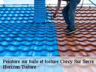 Peinture sur tuile et toiture