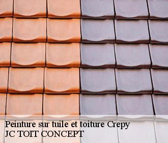 Peinture sur tuile et toiture  crepy-02870 JC TOIT CONCEPT
