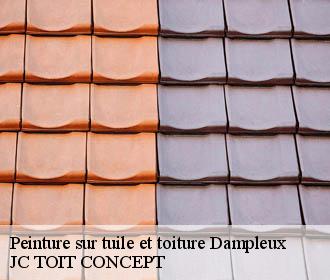 Peinture sur tuile et toiture  dampleux-02600 JC TOIT CONCEPT