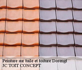 Peinture sur tuile et toiture  dorengt-02450 JC TOIT CONCEPT