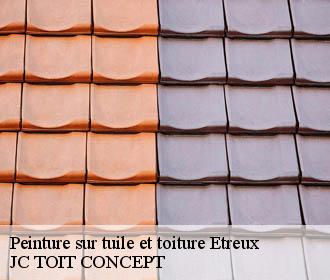 Peinture sur tuile et toiture  etreux-02510 JC TOIT CONCEPT