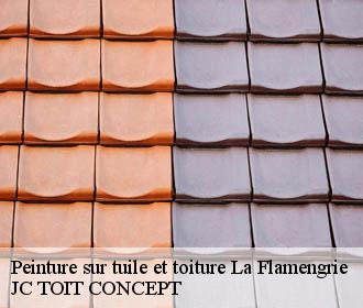 Peinture sur tuile et toiture  la-flamengrie-02260 JC TOIT CONCEPT