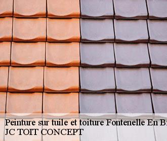 Peinture sur tuile et toiture  fontenelle-en-brie-02540 JC TOIT CONCEPT