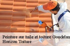 Peinture sur tuile et toiture goudelancourt-les-berrieux-02820 Horizon Toiture