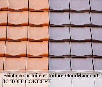 Peinture sur tuile et toiture  goudelancourt-les-pierrepont-02350 JC TOIT CONCEPT