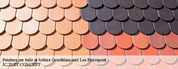 Peinture sur tuile et toiture  02350
