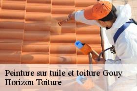 Peinture sur tuile et toiture gouy-02420 Horizon Toiture