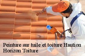 Peinture sur tuile et toiture haution-02140 Horizon Toiture