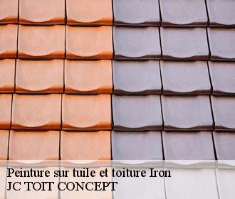 Peinture sur tuile et toiture  iron-02510 JC TOIT CONCEPT
