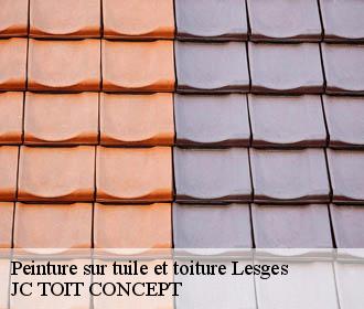 Peinture sur tuile et toiture  lesges-02220 JC TOIT CONCEPT
