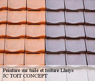 Peinture sur tuile et toiture  lhuys-02220 JC TOIT CONCEPT
