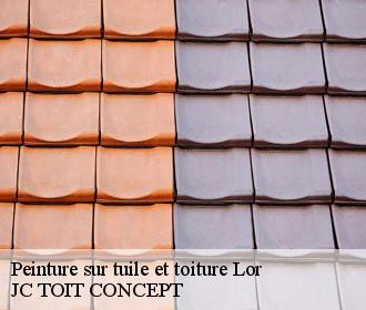 Peinture sur tuile et toiture  lor-02190 JC TOIT CONCEPT