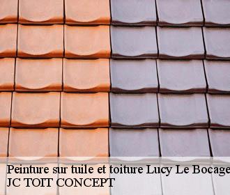 Peinture sur tuile et toiture  lucy-le-bocage-02400 JC TOIT CONCEPT
