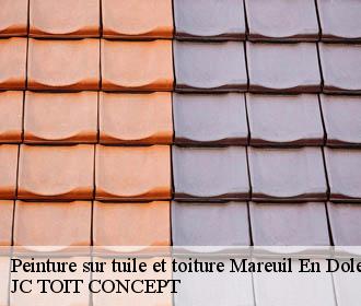 Peinture sur tuile et toiture  mareuil-en-dole-02130 JC TOIT CONCEPT