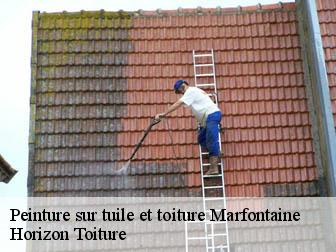 Peinture sur tuile et toiture 02140