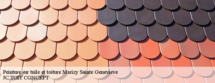 Peinture sur tuile et toiture  02470