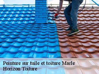 Peinture sur tuile et toiture