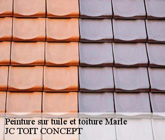 Peinture sur tuile et toiture  marle-02250 JC TOIT CONCEPT