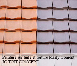 Peinture sur tuile et toiture  marly-gomont-02120 JC TOIT CONCEPT