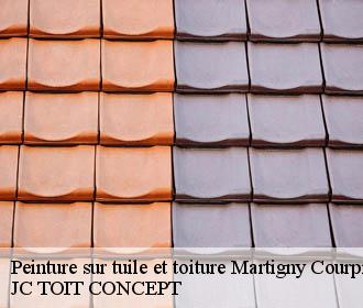 Peinture sur tuile et toiture  martigny-courpierre-02860 JC TOIT CONCEPT