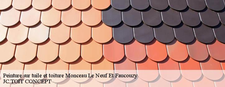 Peinture sur tuile et toiture  02270