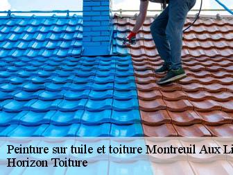 Peinture sur tuile et toiture