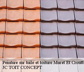 Peinture sur tuile et toiture  muret-et-crouttes-02210 JC TOIT CONCEPT