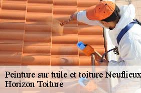 Peinture sur tuile et toiture neuflieux-02300 Horizon Toiture