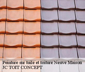 Peinture sur tuile et toiture  neuve-maison-02500 JC TOIT CONCEPT