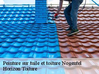 Peinture sur tuile et toiture